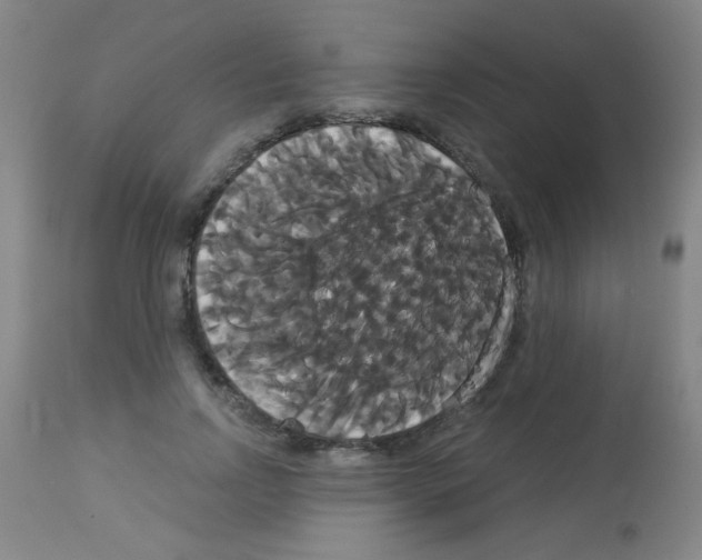 X0000113060742200910091143