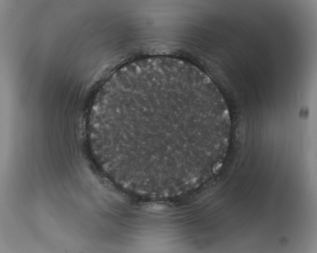 X0000113060743200910091143