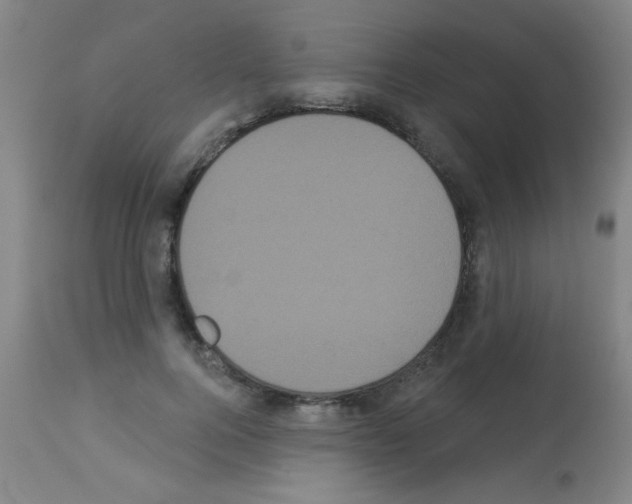 X0000113060744200910091143