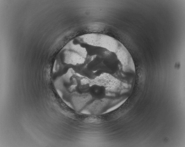 X0000113060745200910091143