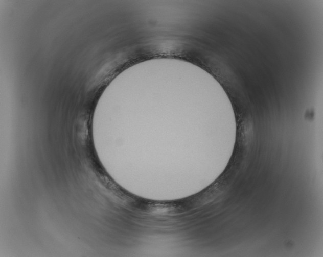 X0000113060746200910091143