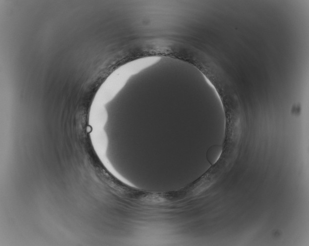 X0000113060747200910091143