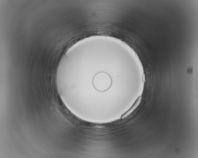 X0000113060748200910091143