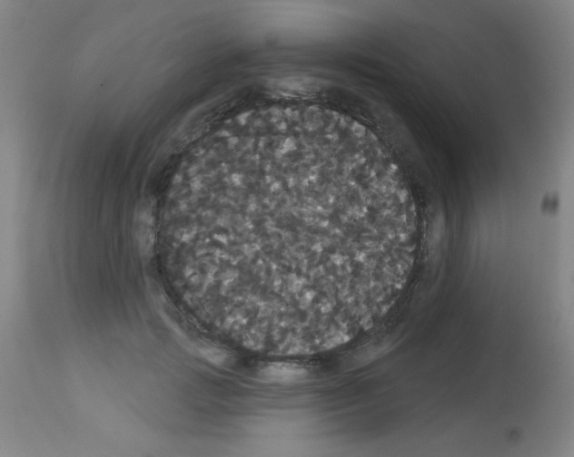 X0000113060749200910091143
