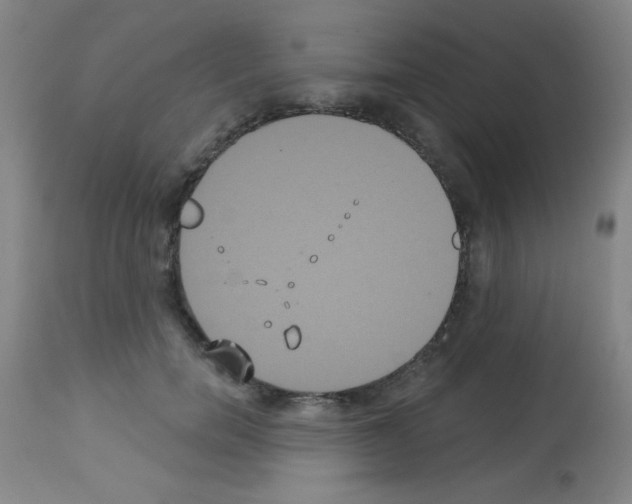 X0000113060750200910091143