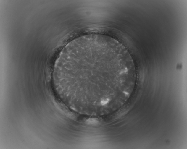X0000113060751200910091143