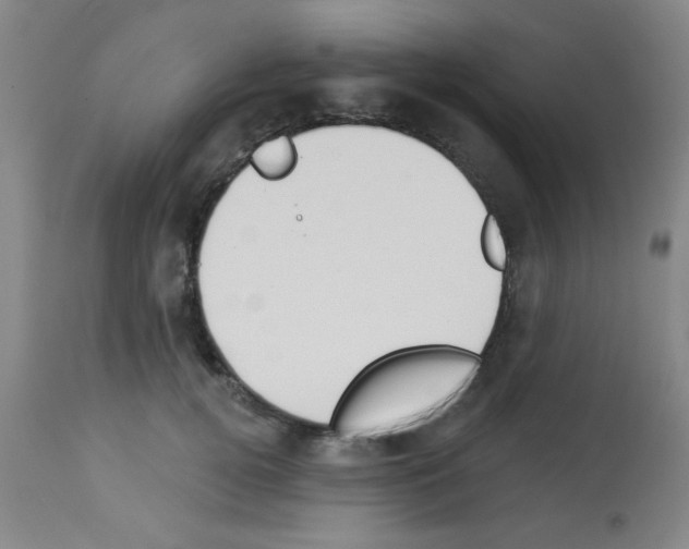 X0000113060752200910091143