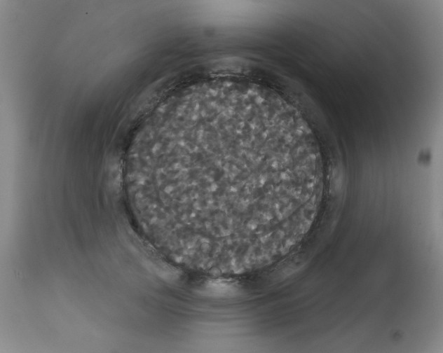 X0000113060753200910091143