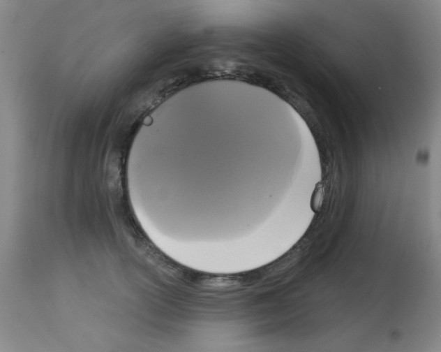 X0000113060754200910091143