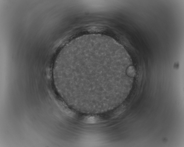 X0000113060755200910091143