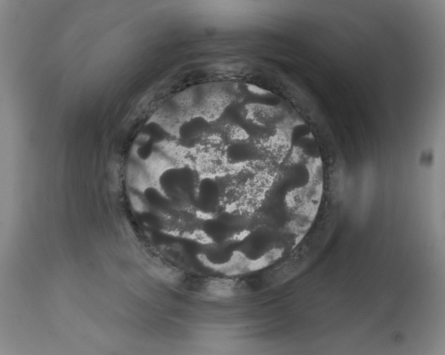 X0000113060757200910091143