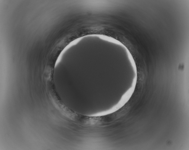 X0000113060758200910091143