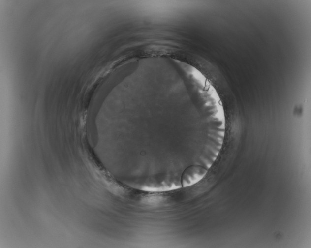 X0000113060759200910091143