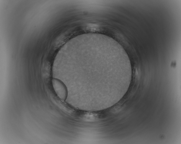 X0000113060760200910091143