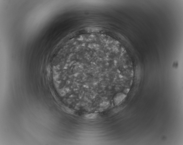 X0000113060761200910091143