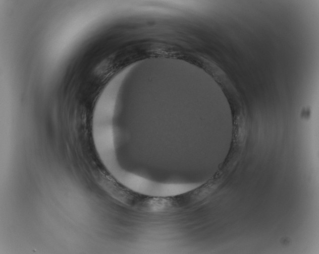 X0000113060762200910091143
