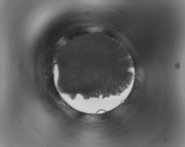 X0000113060763200910091143