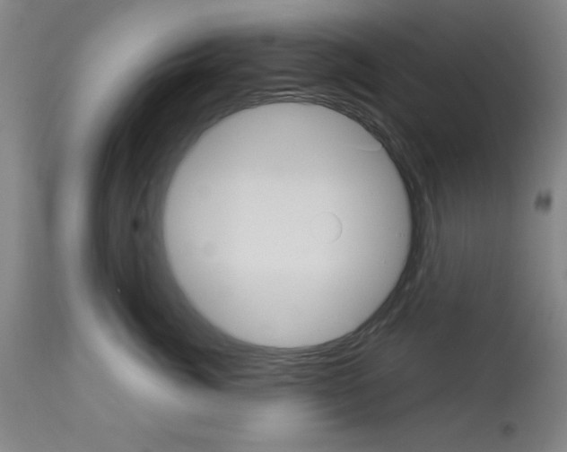 X0000113060764200910091143