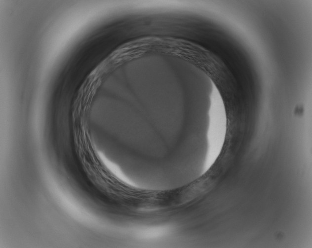 X0000113060765200910091143