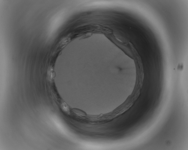 X0000113060766200910091143