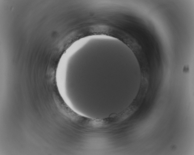 X0000113060767200910091143
