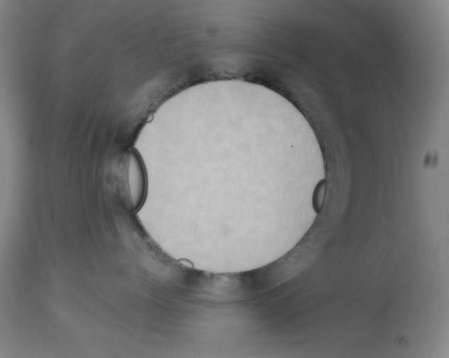 X0000113060768200910091143