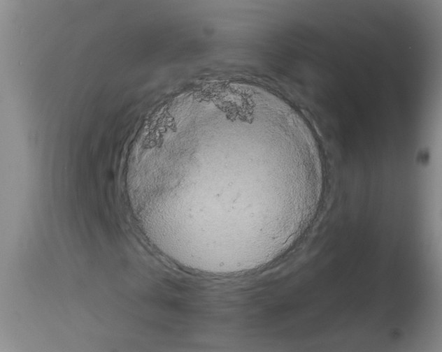 X0000113060769200910091143