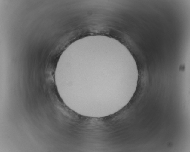 X0000113060770200910091143