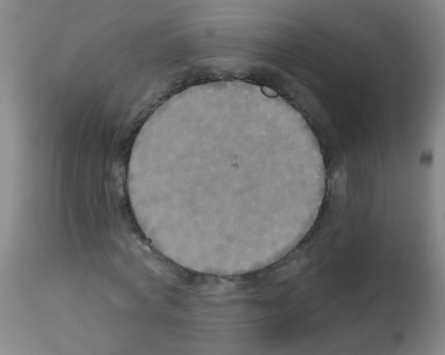 X0000113060772200910091143