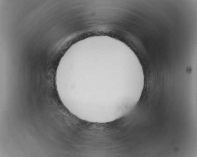 X0000113060773200910091143