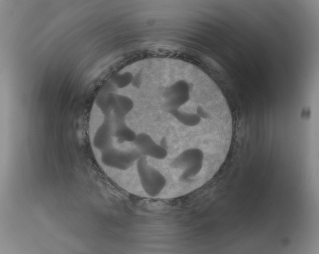 X0000113060774200910091143