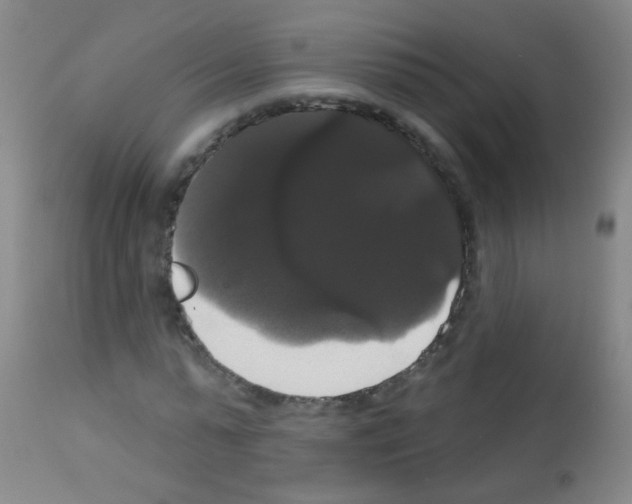 X0000113060775200910091143