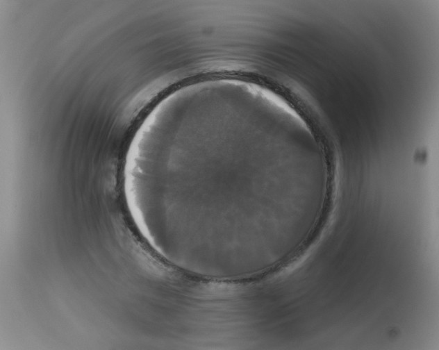 X0000113060777200910091142