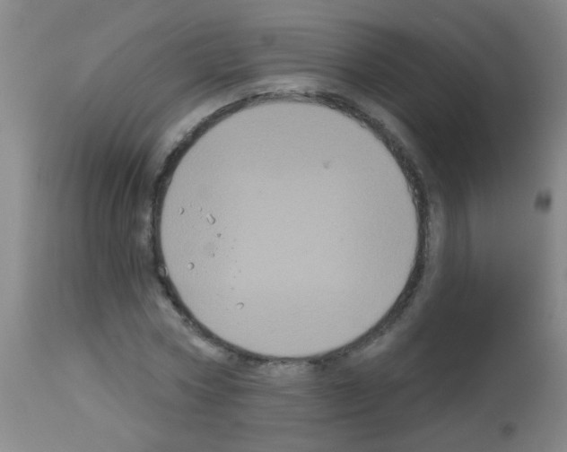 X0000113060778200910091142