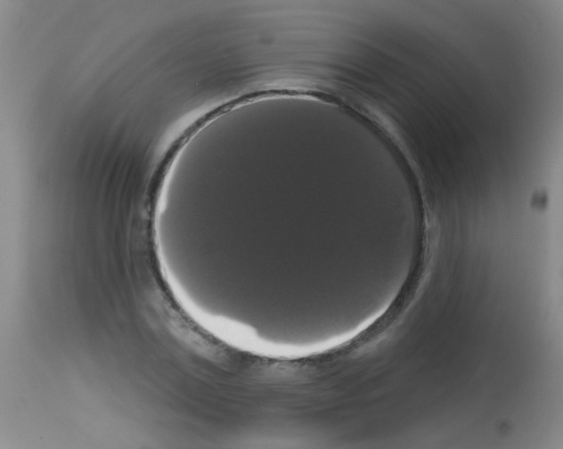 X0000113060779200910091142