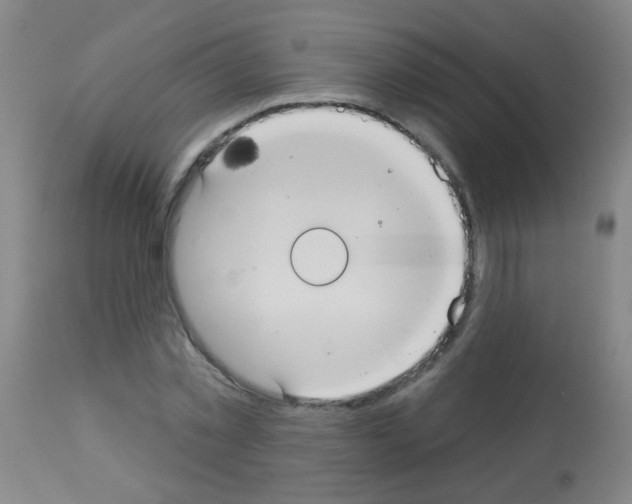 X0000113060781200910091142