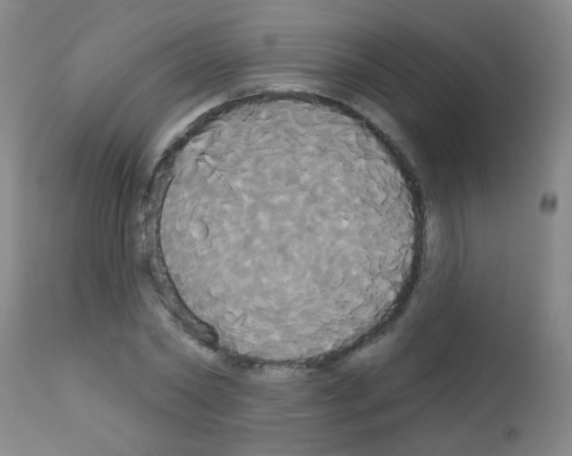 X0000113060782200910091142