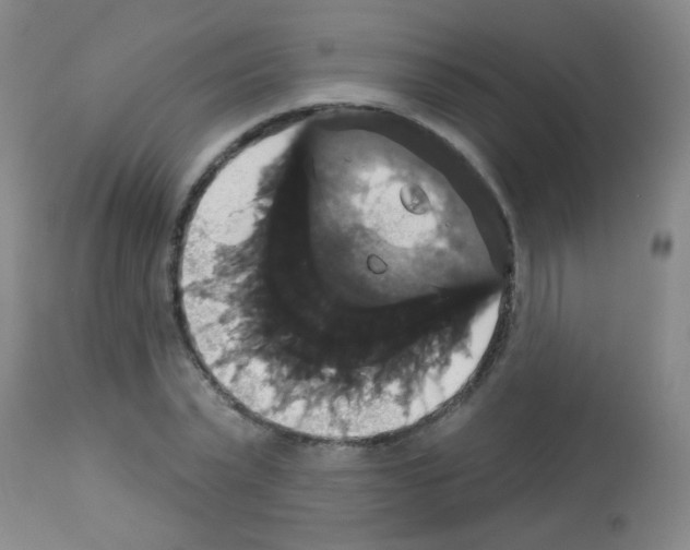 X0000113060783200910091142
