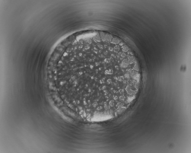 X0000113060784200910091142