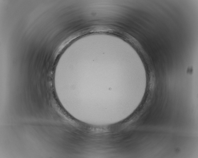 X0000113060786200910091142
