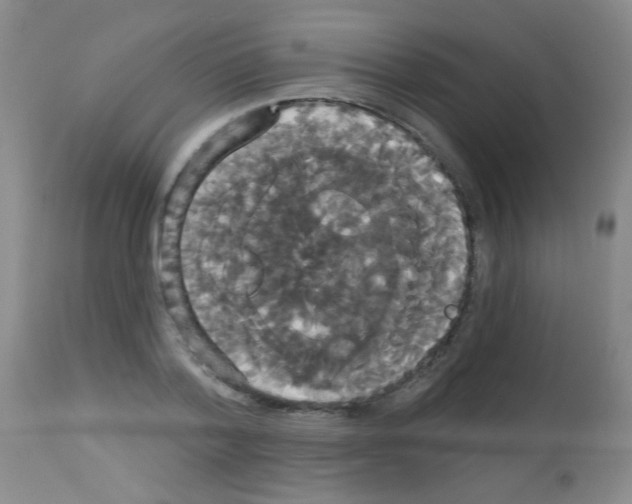 X0000113060788200910091142