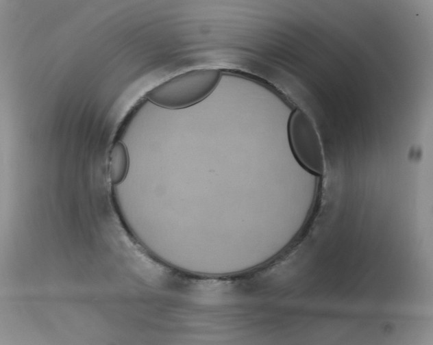 X0000113060789200910091142