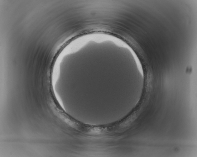 X0000113060790200910091142