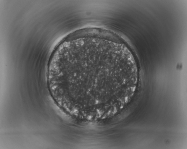 X0000113060791200910091142