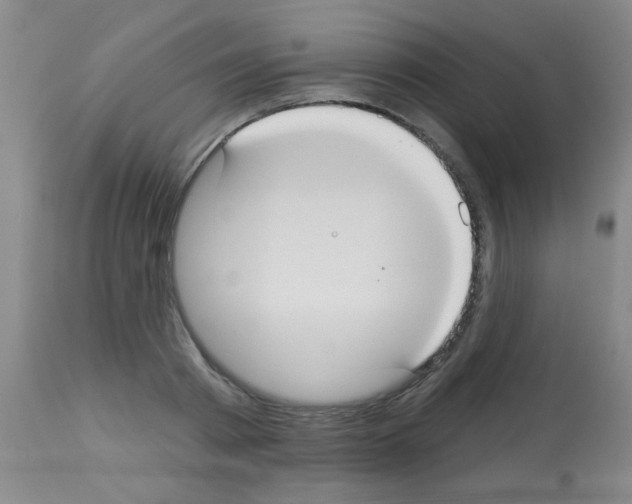 X0000113060793200910091142
