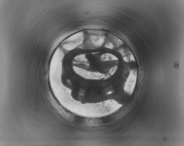 X0000113060795200910091142