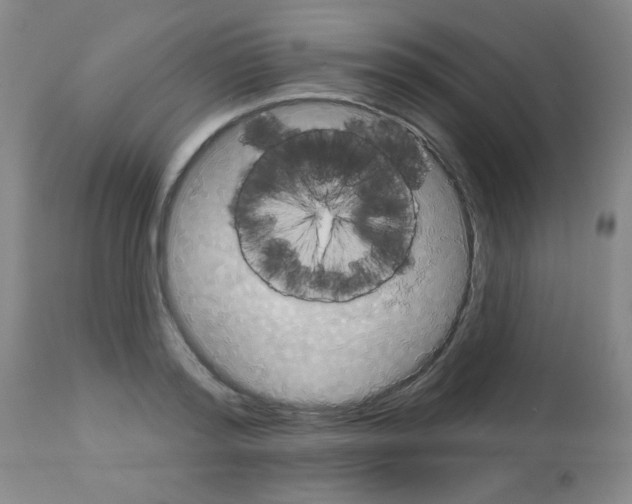 X0000113060796200910091142