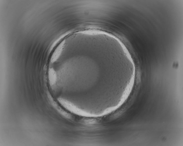 X0000113060798200910091142