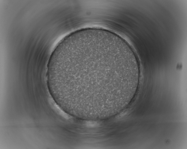 X0000113060799200910091142