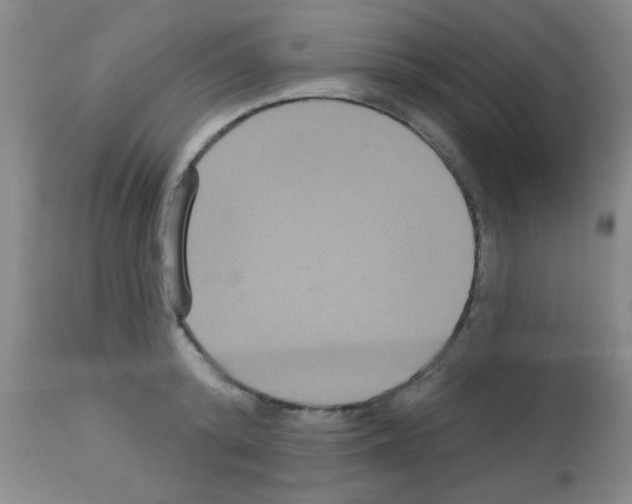 X0000113060800200910091142